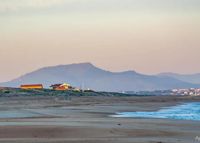Oceana Vue Exceptionnelle Sur L'ocean, Standing, Front De Mer.