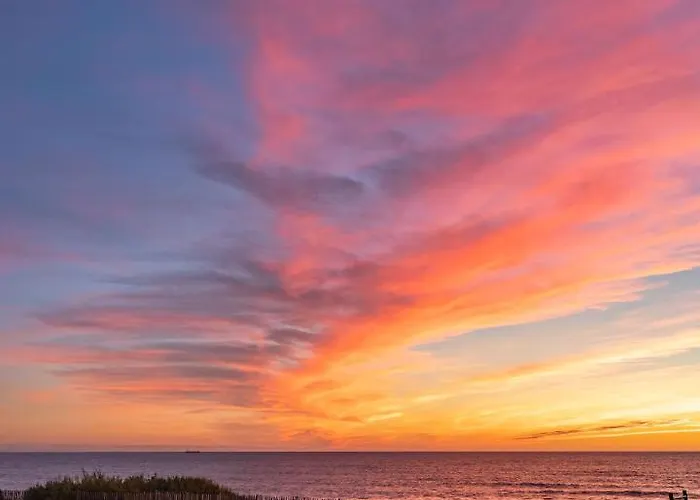 Villa Oceana Vue Exceptionnelle Sur L'ocean, Standing, Front De Mer. *