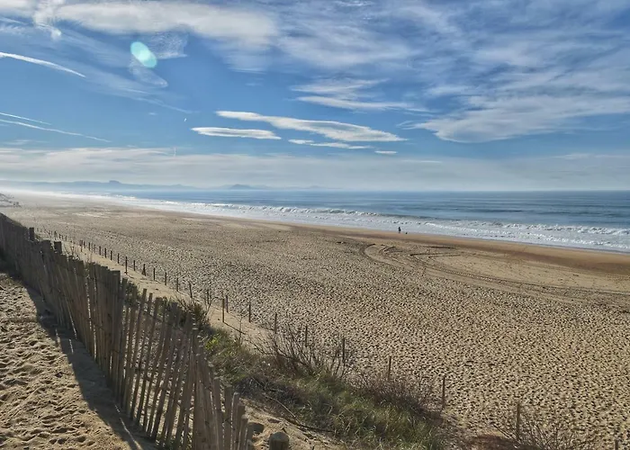 Oceana Vue Exceptionnelle Sur L'ocean, Standing, Front De Mer. ヴィラ *